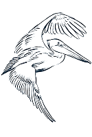 impact-icon